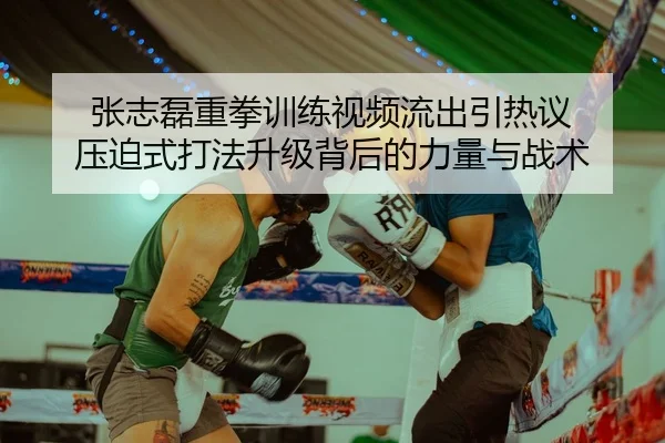 张志磊重拳训练视频流出引热议 压迫式打法升级背后的力量与战术